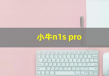 小牛n1s pro